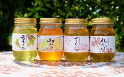 【ふるさと納税】はちみつ 国産 天然 純はちみつ 600g&times;4本セット れんげ＆やまみつ＆さくら＆もちのき ハチミツ 蜂蜜 　お届け：2026年7月より順次発送いたします。｜福岡県小郡市 26,650円