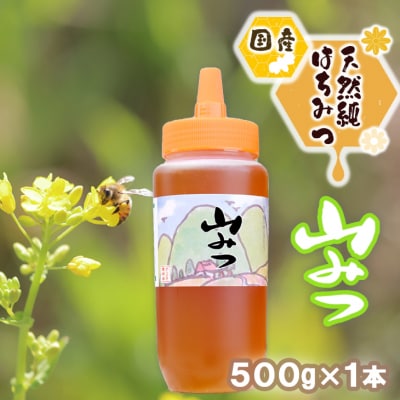 【ふるさと納税】はちみつ 国産 天然 純はちみつ やまみつ 500g ハチミツ 蜂蜜 とんがり容器 　お届け：2026年7月より順次発送いたします。｜福岡県小郡市