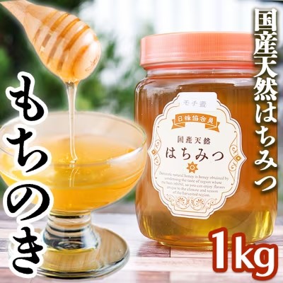 【ふるさと納税】はちみつ 1kg 非加熱 国産 天然 純はちみつ もちの木 蜂蜜 ハチミツ 天然蜂蜜 天然はちみつ 国産はちみつ 国産蜂蜜 無添加 無加工 非加熱はちみつ 非加熱蜂蜜 瓶詰め 福岡 福岡県 小郡市