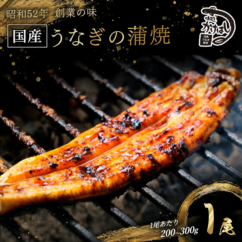 【ふるさと納税】創業40年 全てが職人による手焼き うなぎの蒲焼き 1尾 鰻