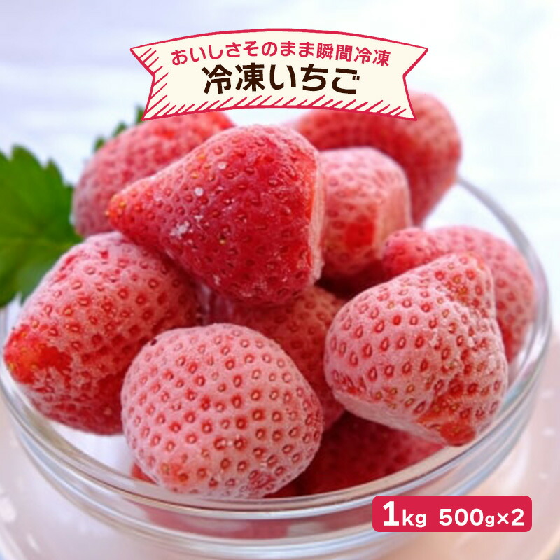 【ふるさと納税】いちご 冷凍いちご 500g×2 イチゴ 苺 果物 デザート ベリー畑 福田ファーム ※配送不可：沖縄、離島