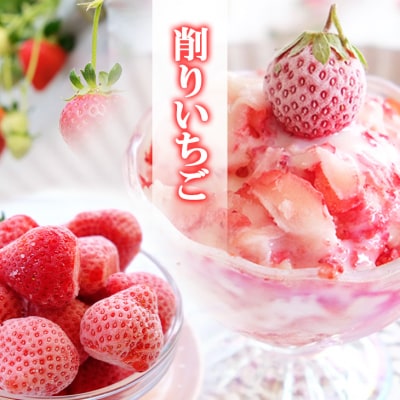 【ふるさと納税】いちご ふわっと溶ける贅沢スイーツ 削りいちご 600g 練乳付き イチゴ 苺 果物 デザート ベリー畑 福田ファーム ※配送不可：沖縄、離島