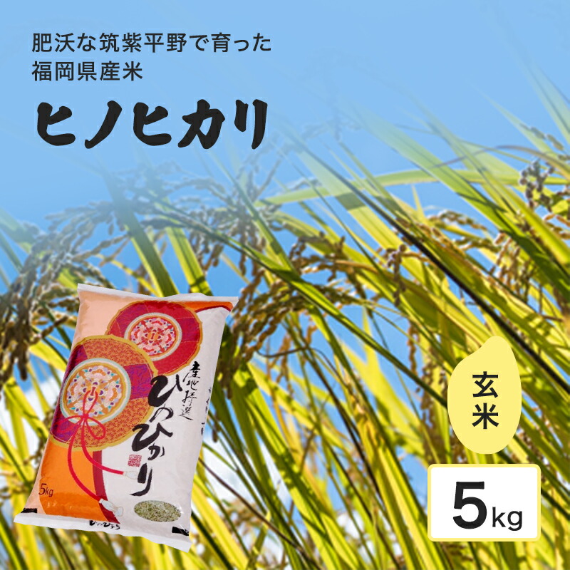 【ふるさと納税】米 肥沃な筑紫平野で育った 福岡県産米 ヒノヒカリ 玄米 5kg お米 コメ 令和7年度産｜福岡県小郡市
