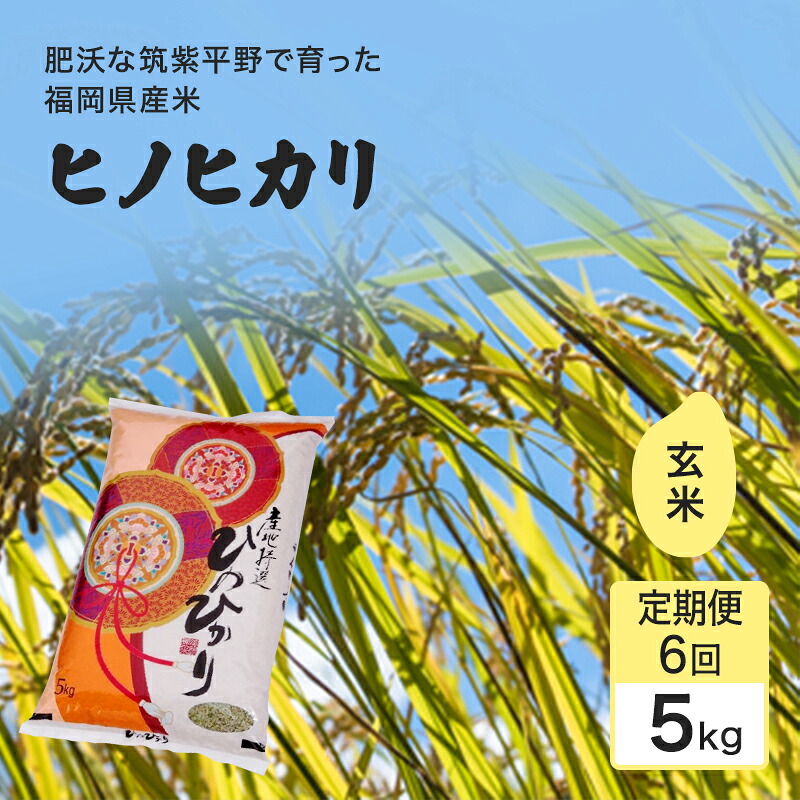 【ふるさと納税】定期便 6回 米 1粒からこだわる 1等級米 ヒノヒカリ 玄米5kg お米 コメ お楽しみ 6ヶ月 令和7年度産