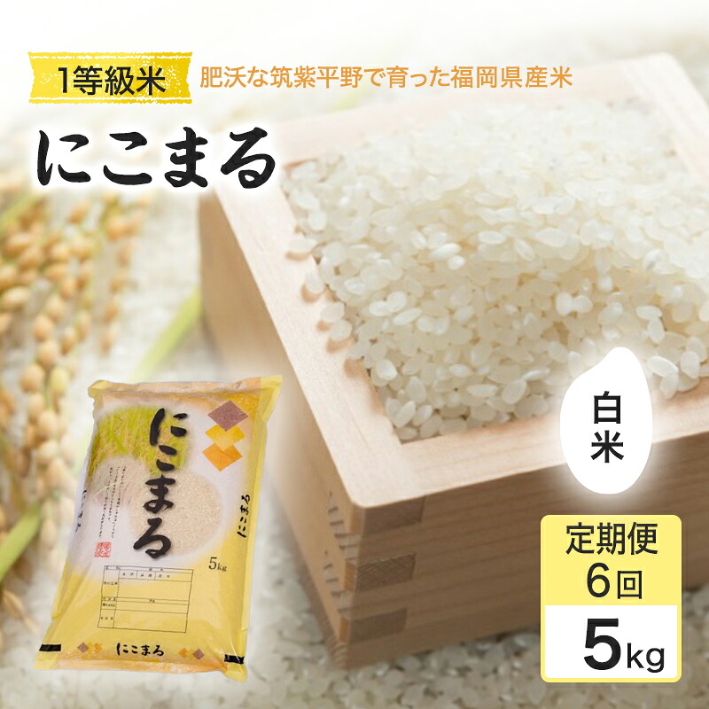 【ふるさと納税】定期便 6回 米 1粒からこだわる1等級米 にこまる 白米(5kg×6回) お米 コメ お楽しみ 6ヶ月 令和7年度産|福岡県小郡市