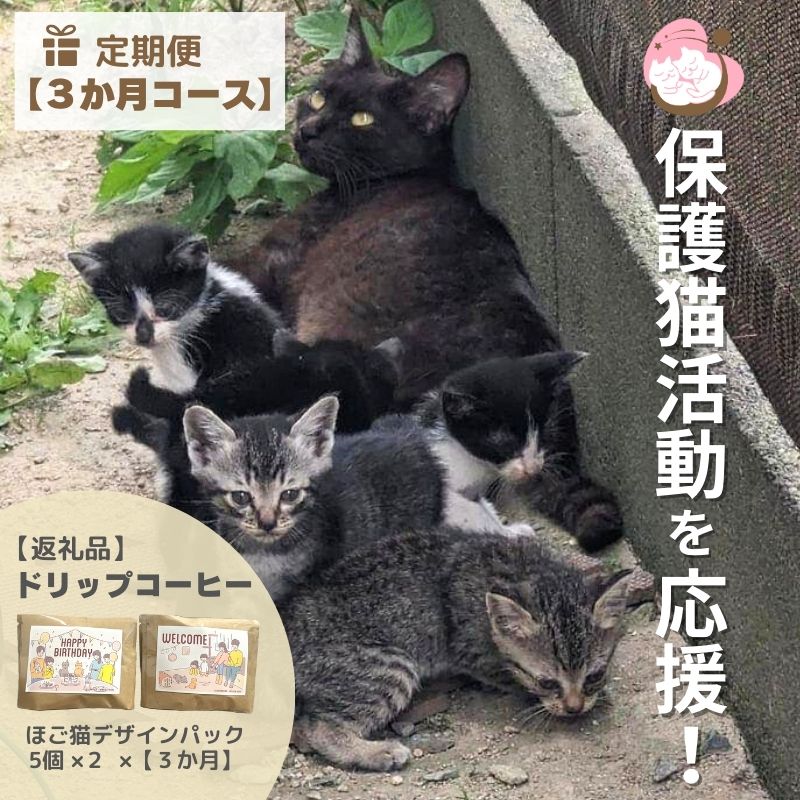 【ふるさと納税】定期便 3回 コーヒー 保護猫活動を応援! ドリップバッグ 10袋×3カ月 珈琲 ドリップコーヒー|福岡県小郡市