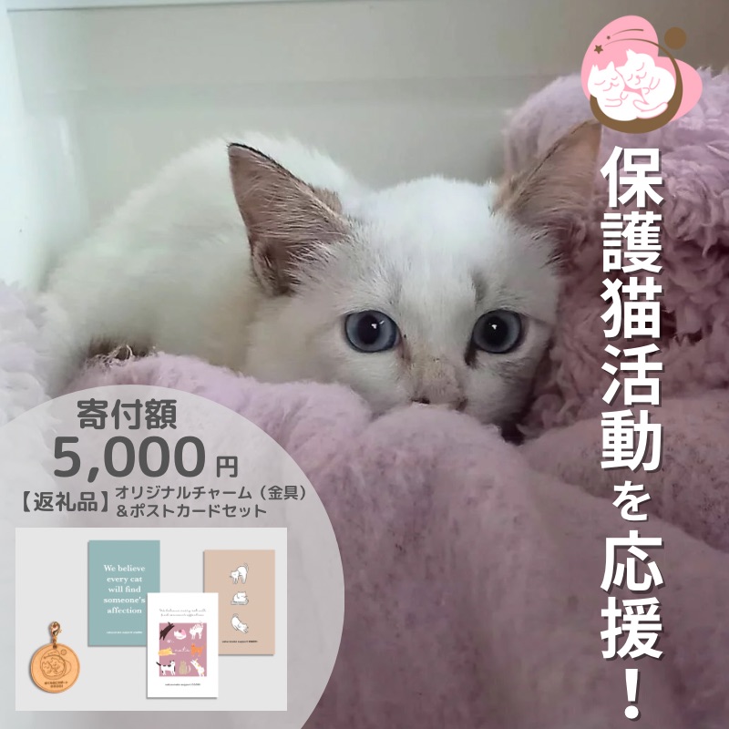 【ふるさと納税】保護猫活動を応援！ ロゴチャーム(金具)&ポストカード×3枚 さくらねこサポートOGORI 雑貨 日用品 猫 保護猫