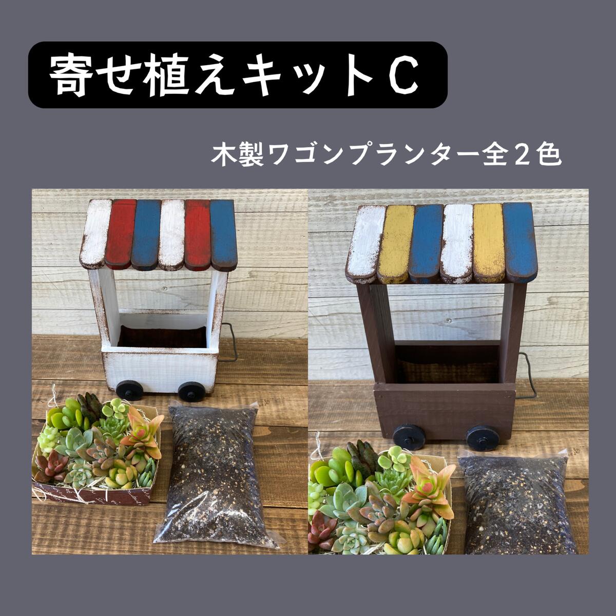 【ふるさと納税】多肉植物 じぶんで植える 多肉 寄せ植えキットＣ 木製 ワゴン型 プランター 全2色 インテリア 植物 寄せ植え ガーデニング 福岡 小郡市 13,260円