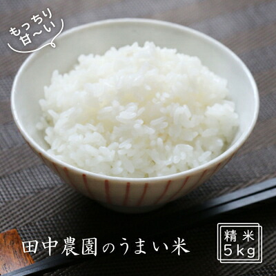 【ふるさと納税】100年続く田中農園のうまい米 夢つくし 「田中茂米」 精米 5kg 米 お米｜福岡県小郡市