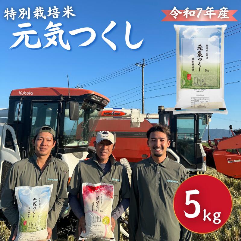 【ふるさと納税】特別栽培米 R7年度産 福岡県 小郡産 元気つくし 5kg 米 お米|福岡県小郡市