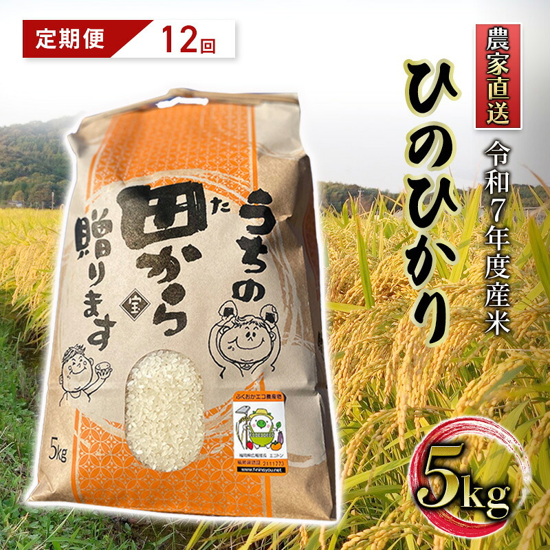 【ふるさと納税】定期便 12ヶ月 米 5kg 令和7年度産 米 ひのひかり 筑後小郡産 農家直送 12回 お米 コメ お楽しみ|福岡県小郡市