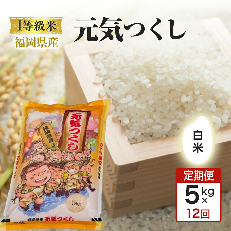 【ふるさと納税】令和7年度 定期便 12回 1等級米 米 1粒からこだわる 福岡県産米 元気つくし 白米 5kg お米 コメ お楽しみ 12ヶ月 令和7年度産|福岡県小郡市