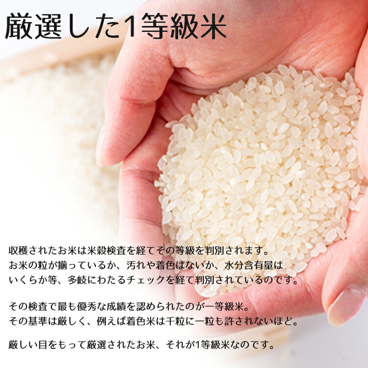 令和4年度産 元気つくし 60kg