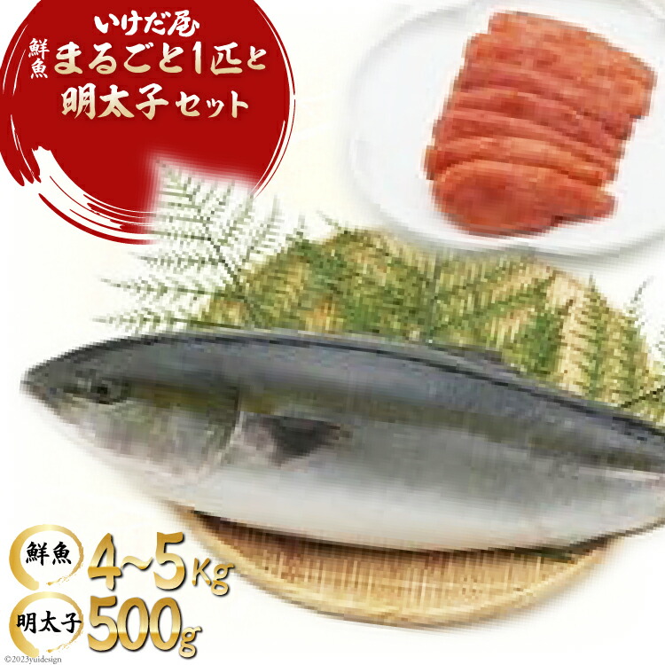 100％の保証 九州産鮮魚まるごと１匹と明太子のセット smartpipe.com.