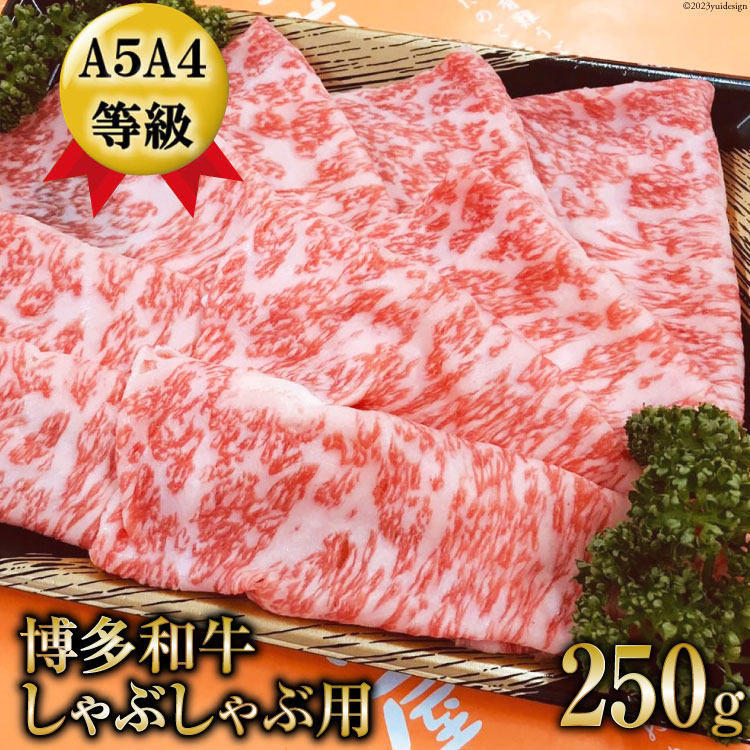 【ふるさと納税】 【数量限定】博多和牛 ロース しゃぶしゃぶ用 250g / 筑前屋 / 福岡県 筑紫野市 [21760385] 肉 牛肉 和牛 牛 ビーフ 国産牛 ブランド牛 焼肉 冷凍