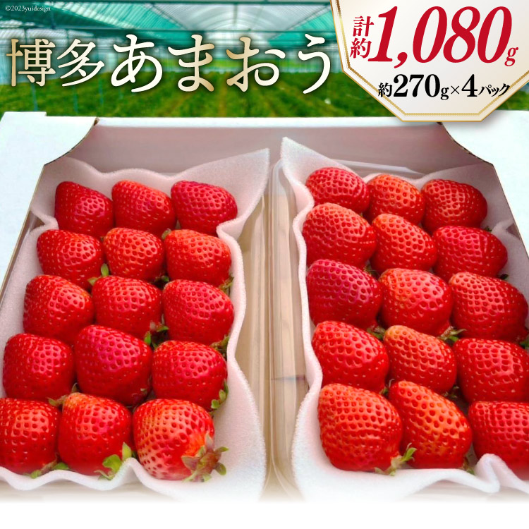 かわいい新作 甘酸っぱーい 春の味覚 いちご本来の味わい 春の苺 あまおう 4パック《2月前半から4月前半順次出荷》 南国フルーツ 福岡県 筑紫野市  21760096