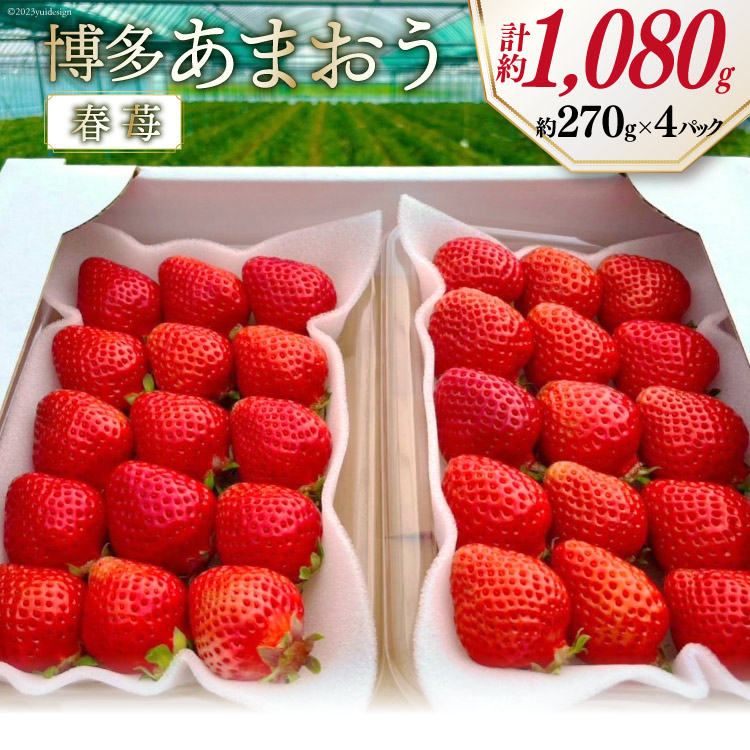 【ふるさと納税】 先行受付 博多あまおう 約270g×4 / エイチアンドフューチャーズ / 福岡県 筑紫野市 [21760414] 果物 フルーツ いちご イチゴ 苺 朝採り 新鮮