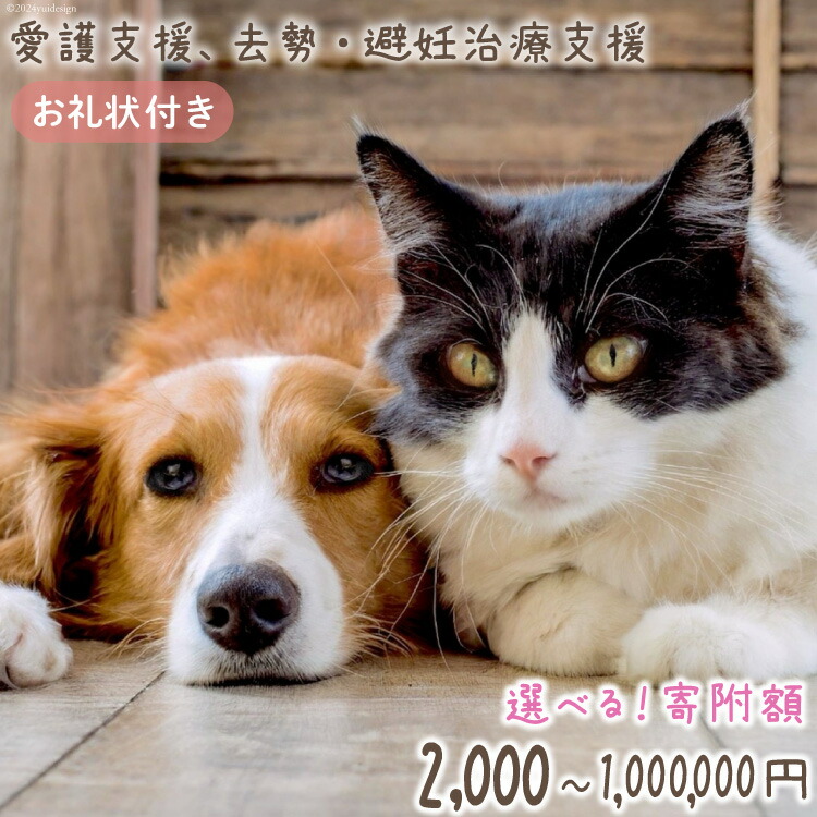 【ふるさと納税】 選べる 寄附額 愛護支援 去勢 避妊治療支援 [Animal Care Salvation 福岡県 筑紫野市 21760871] 動物 ペット 愛護 TNR 保護 動物福祉 保護施設 里親 犬 猫 イヌ ネコ いぬ ねこ 動物愛護 保護活動 支援｜福岡県筑紫野市