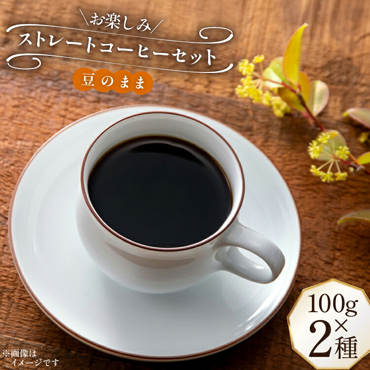 【ふるさと納税】 コーヒー豆 100g 2種 (豆のまま) 飲み比べセット [自家焙煎珈琲ぴちかーと 福岡県 筑紫野市 21761244] コーヒー 珈琲 coffee セット ストレートコーヒー