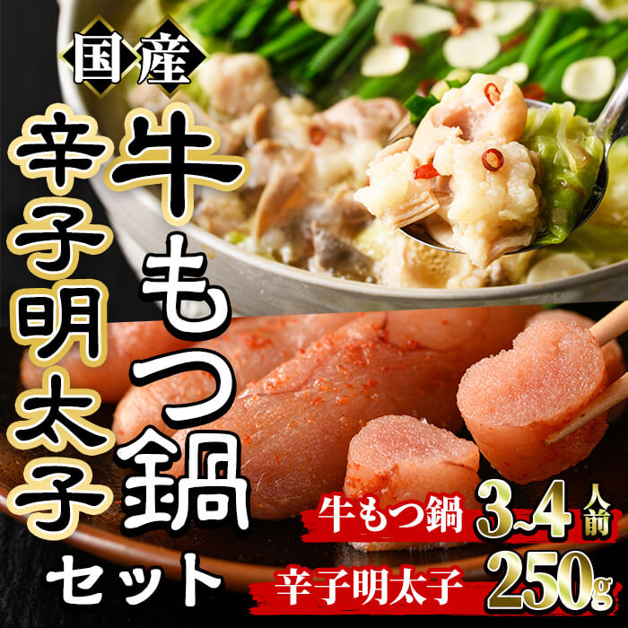 【ふるさと納税】国産牛もつ鍋(3～4人前)・辛子明太子(250g)セット モツ鍋 もつ鍋セット 牛モツ 牛肉 ホルモン 明太子 めんたいこ ちゃんぽん チャンポン お取り寄せ ＜離島配送不可＞【ksg0022】【樽味屋】