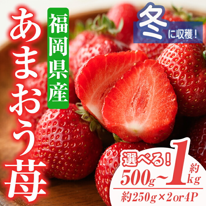 【ふるさと納税】＜容量を選べる・先行予約受付中！2025年11月下旬～2026年1月下旬に順次発送予定＞あまおう苺・冬(計約500g or 1kg)いちご 苺 フルーツ 果物 くだもの 福岡限定  家庭用 冷蔵 ＜離島配送不可＞【ksg0031・ksg0032】【南国フルーツ】