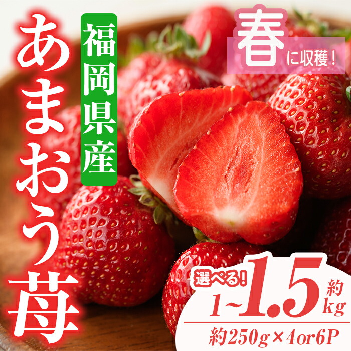 【ふるさと納税】＜容量を選べる・先行予約受付中！2026年2月上旬～2026年3月末に順次発送予定＞あまおう苺・春(計約1kg or 1.5kg)いちご 苺 フルーツ 果物 くだもの 福岡限定  家庭用 冷蔵 ＜離島配送不可＞【ksg0045・ksg0101】【南国フルーツ】