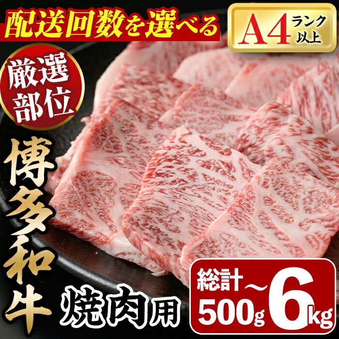 【ふるさと納税】<定期便・配送回数を選べる>博多和牛焼肉用(総計500g~6kg) 牛肉 黒毛和牛 国産 BBQ 化粧箱 贈答 ギフト プレゼント 定期便 <離島配送不可>【ksg0287・ksg1719・ksg1720・ksg1721】【MEATPLUS】|福岡県春日市