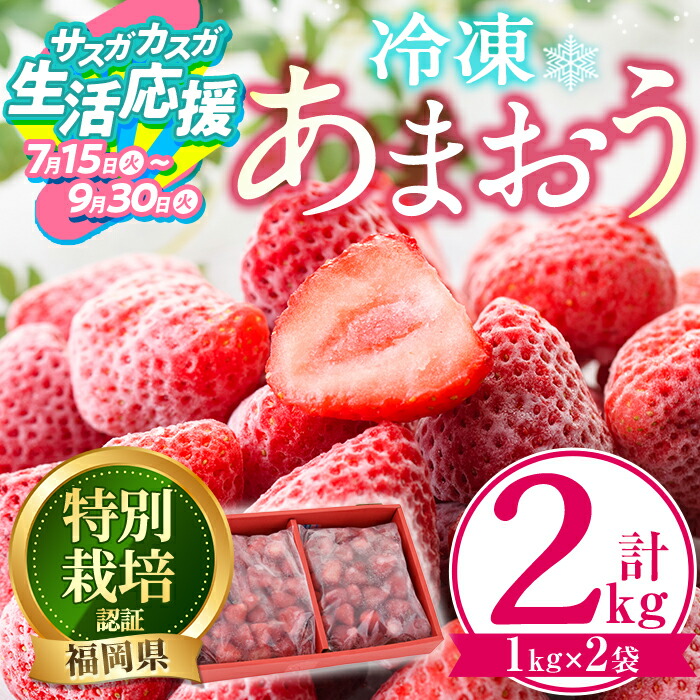 冷凍いちご　6kg 楽天市場】【ふるさと納税】陽一郎園の完熟冷凍いちご 2.7kg【令