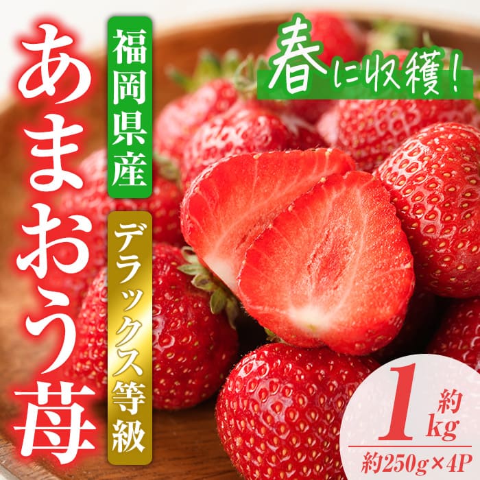 【ふるさと納税】＜先行予約受付中！2026年2月上旬～2026年3月末に順次発送予定＞あまおうDX(デラックス)・春(計約1kg・約250g×4P)いちご 苺 フルーツ 果物 くだもの 福岡限定  家庭用 冷蔵 ＜離島配送不可＞【ksg0473】【南国フルーツ】