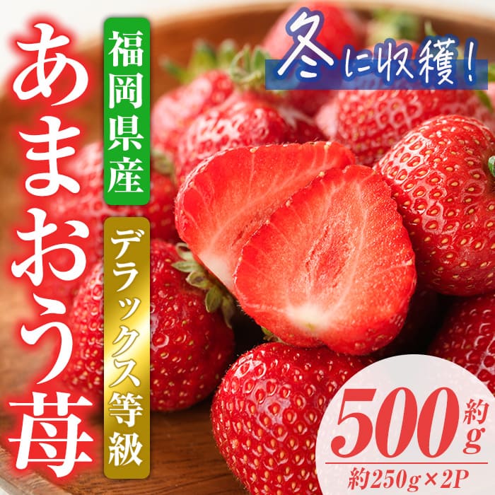 【ふるさと納税】＜先行予約受付中！2025年11月下旬から2026年1月下旬にかけて順次発送予定＞あまおうDX(デラックス)・冬(計約500g・約250g×2P)いちご 苺 フルーツ 果物 くだもの 福岡限定  家庭用 冷蔵 ＜離島配送不可＞【ksg0474】【南国フルーツ】