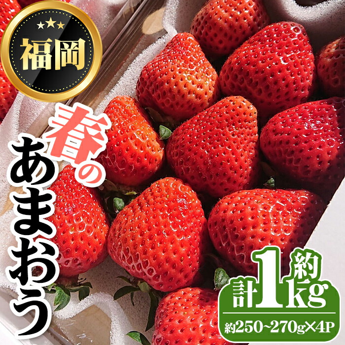 【ふるさと納税】＜先行予約受付中・数量限定＞2026年3月からお届け！春のあまおう(計約1kg・約250～270g×4P) 苺 いちご イチゴ フルーツ 果物 くだもの 手作り スイーツ ＜離島配送不可＞【ksg1250】【THE FARM_strawberry】