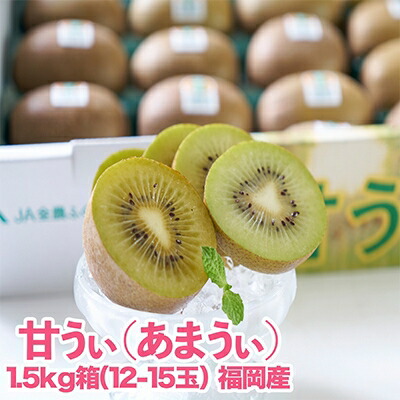 【ふるさと納税】福岡限定!ブランドキウイ「甘うぃ(あまうぃ)」約1.5kg箱(12-15玉)(大野城市)_ キウイ キウイフルーツ フルーツ 果物 くだもの ふるーつ 青果 国産 産地直送 ブランド 福岡 高糖度 送料無料  【配送不可地域：離島】【1125950】