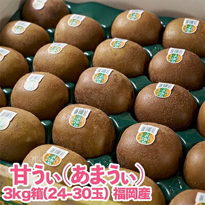 【ふるさと納税】福岡限定!ブランドキウイ「甘うぃ(あまうぃ)」約3kg箱(24-30玉)(大野城市)_ キウイ キウイフルーツ フルーツ 果物 くだもの ふるーつ 青果 国産 産地直送 ブランド 福岡 高糖度 送料無料 贈答 【配送不可地域：離島】【1125951】