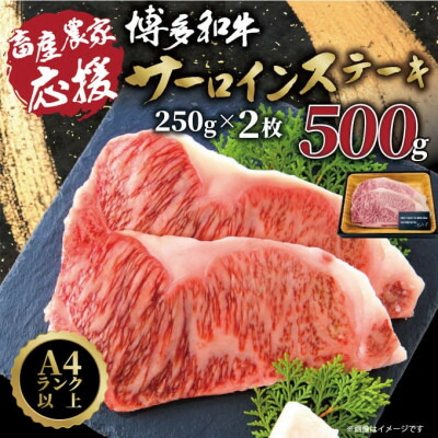 【ふるさと納税】【A4～A5】博多和牛サーロインステーキ【厳選部位】(250g×2枚)_ ステーキ サーロイン 肉 牛肉 国産牛 和牛 黒毛和牛 博多和牛 A4 A5 国産 産地直送 贈答 ギフト プレゼント プレミアム 冷凍 500g 【配送不可地域：離島】【1168509】