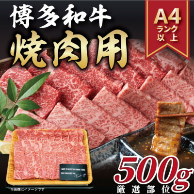 【ふるさと納税】【毎月定期便】博多和牛 A4～A5 焼き肉用【厳選部位】(500g)全6回【配送不可地域：離島】【4054209】