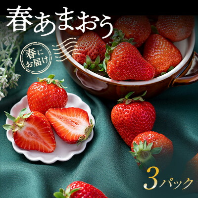 【ふるさと納税】【2026年発送先行予約】春にお届け!福岡産はるあまおう3パック_ あまおう いちご 苺 イチゴ フルーツ 果物 くだもの ふるーつ 旬 人気 国産 産直 産地直送 冷蔵 ギフト プレゼント 贈り物 送料無料 【配送不可地域：離島】【1333571】