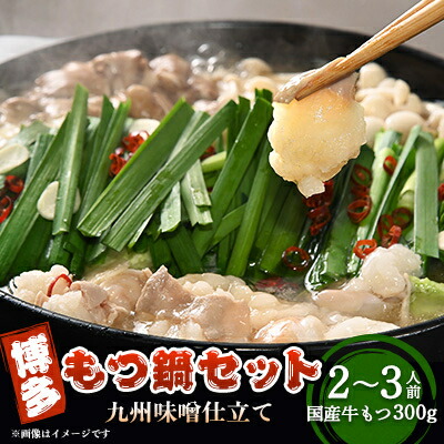 【ふるさと納税】博多もつ鍋セット(九州味噌仕立て)国産牛もつ 300g　2～3人前【配送不可地域：離島】【1526277】
