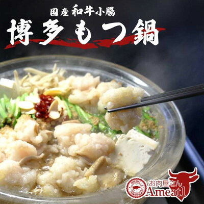 【ふるさと納税】えーみーとわん 国産牛もつ鍋セット(2～3人前)しょうゆ味【配送不可地域：離島】【1548916】｜福岡県大野城市