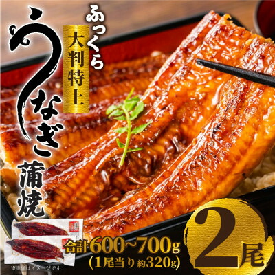 【ふるさと納税】大野城市限定!ふっくら大判特上うなぎ蒲焼　計約600～700g(約320g&times;2尾)_ 鰻うなぎ ウナギ 鰻の蒲焼 鰻蒲焼 特上うなぎ 秘伝のタレ うな重 ひつまぶし 酒の肴 丑の日 福岡県 大野城市 送料無料 贈答 ギフト 【配送不可地域：離島】【1646340】｜福岡県大野城市 10,500円