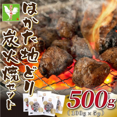 【ふるさと納税】【毎月定期便】はかた地どり炭火焼セット500g(100g×5p)全12回【配送不可地域：離島】【4054419】