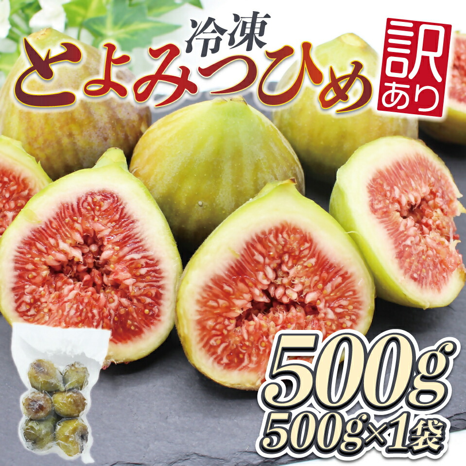 【ふるさと納税】訳あり冷凍いちじく（とよみつひめ」）500ｇ【JAほたるの里】_HA1657 送料無料<br>宗像市 お手軽  保存がきく 美味しい ヘルシー スムージー ヨーグルト