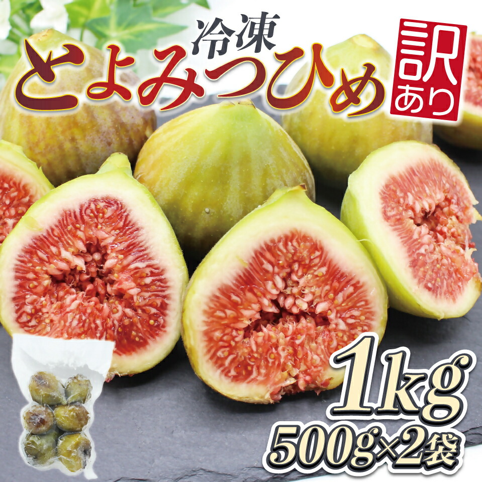 【ふるさと納税】訳あり冷凍いちじく（とよみつひめ」）1kg【JAほたるの里】_HA1658 送料無料<br>宗像市 お手軽  保存がきく 美味しい ヘルシー スムージー ヨーグルト