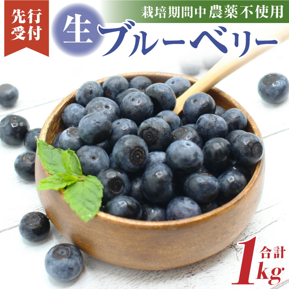 【ふるさと納税】【レビューCP対象】栽培期間中無農薬・有機肥料で丹精込めて栽培した「ブルーベリー」１kg【2025年収穫】【JAほたるの里】_HA0273 送料無料<br>栽培期間中無農薬・有機肥料 冷凍保存可能