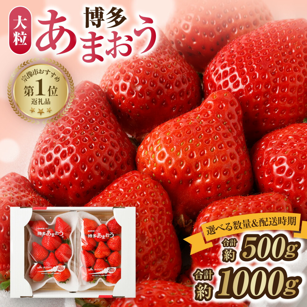 【ふるさと納税】【先行予約】＜選べる数量＆配送時期＞アフター保証 大粒セレクト！大人気のあまおう 250g &times; 2 or 4パック【1月～3月お届け】【JAほたるの里】大粒の「博多あまおう」 フルーツ 果物 いちご 苺 福岡県 宗像市 送料無料｜福岡県宗像市
