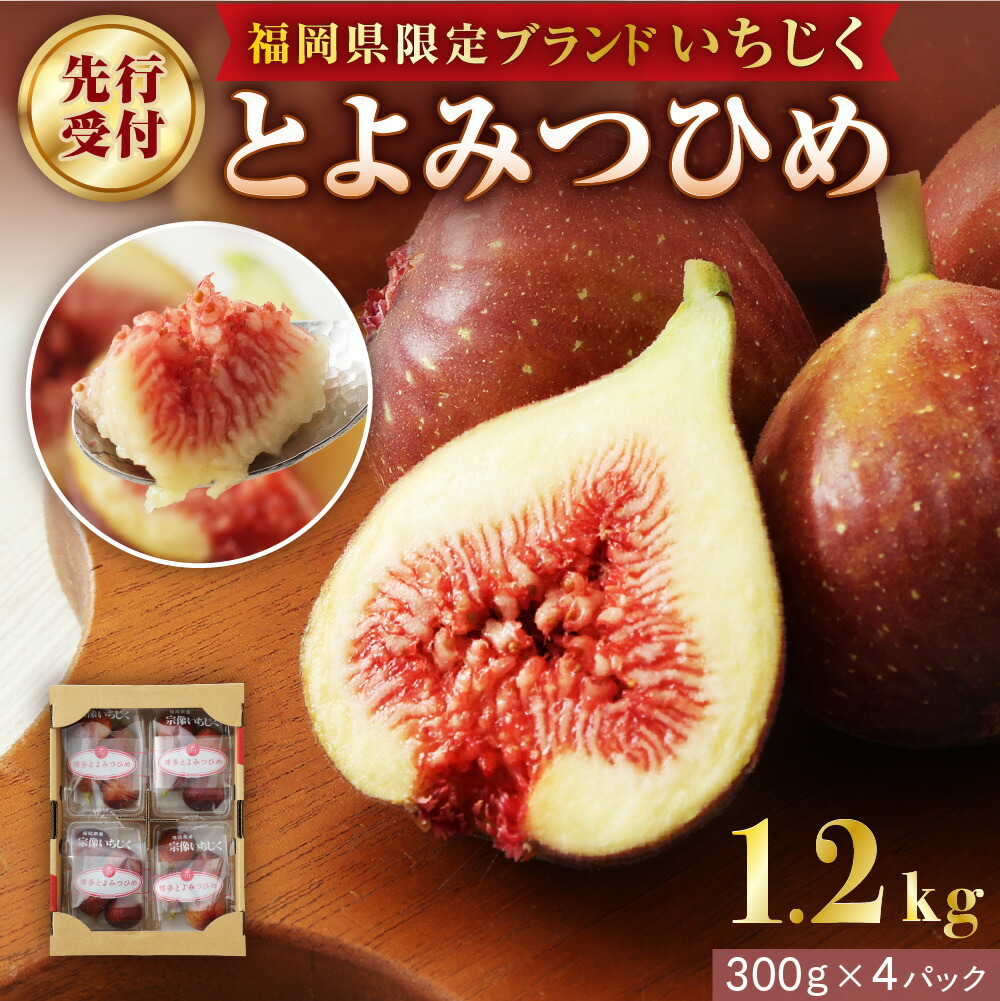 【ふるさと納税】プレミアムいちじく とよみつひめ　1.2kg【JAほたるの里】_HA0278 送料無料<br>2025年収穫 先行受付 フルーツ 果物 いちじく 福岡県 宗像市 【2025年8月～10月お届け】鮮やかなルビー色の果皮 肉厚な白い果肉 糖度17度