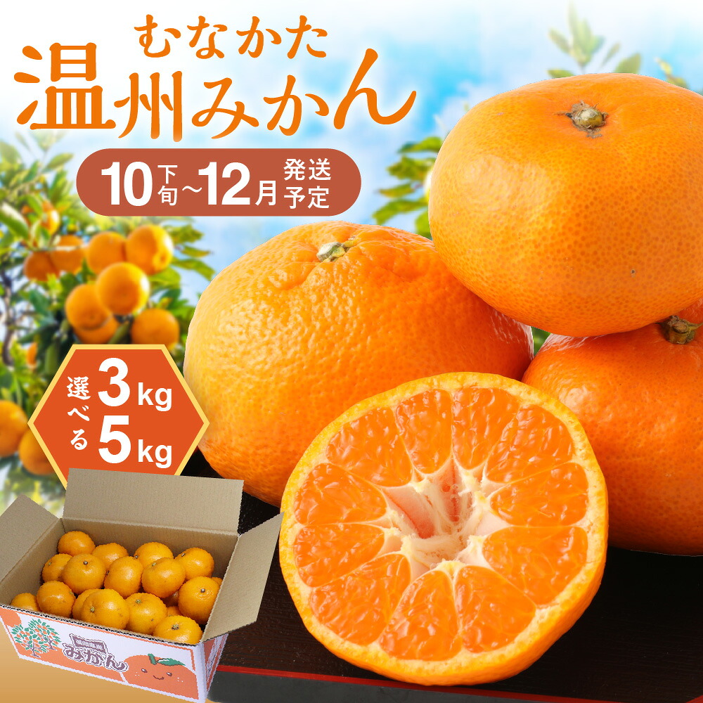 【ふるさと納税】＜選べる＞むなかた温州みかん 3kg or 5kg【2026年10月下旬～12月発送】【ほたるの里】 送料無料温州 みかん ミカン 柑橘 果物 フルーツ ジューシー 果汁 ジュース 期間限定 宗像 福岡｜福岡県宗像市