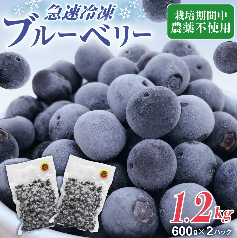 【ふるさと納税】【レビューCP対象】有機栽培・栽培期間中農薬不使用！急速冷凍ブルーベリー 1.2kg 【JAほたるの里】_HA1517 送料無料<br>果物 フルーツ 朝食 ヨーグルト スムージー 目にいい 健康 美味しい おやつ