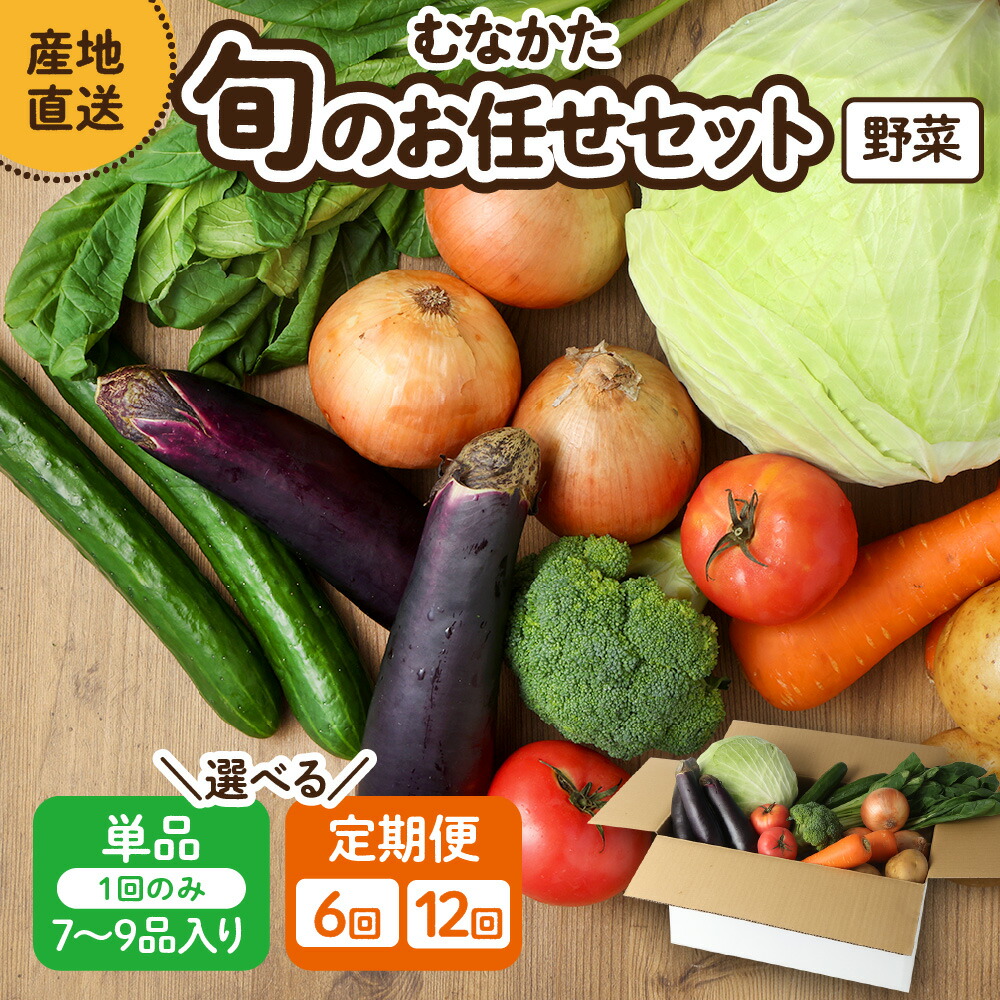 【ふるさと納税】【レビューCP対象】【1回お届け／定期便】むなかた旬のお任せセット ( 野菜 )  7～9品【JAほたるの里】_HA1569 送料無料<br> お野菜 野菜 旬 セット 詰め合わせ お楽しみ 季節 新鮮 産直 福岡県 宗像市