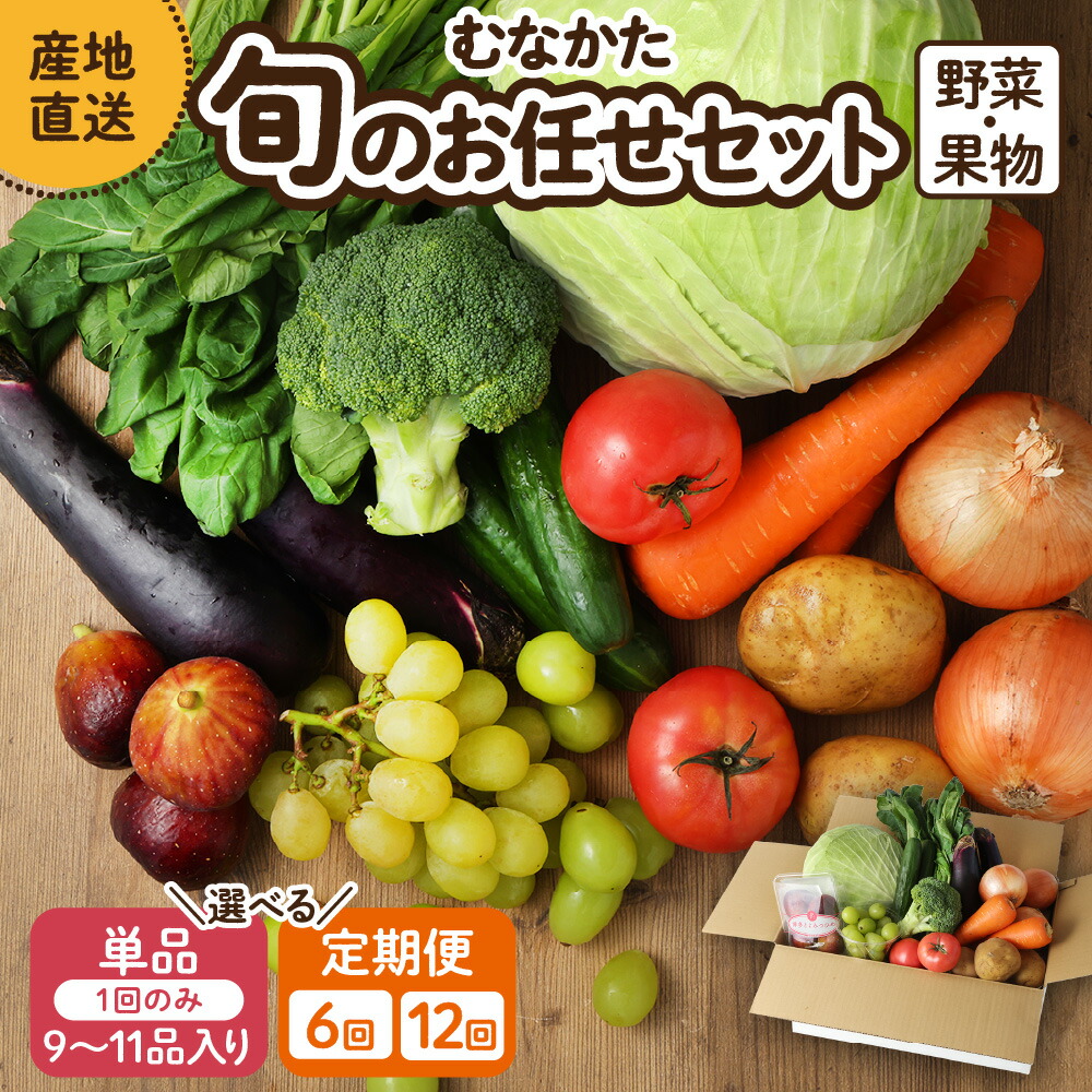 【ふるさと納税】【レビューCP対象】【1回お届け／定期便】むなかた旬のお任せセット（野菜・フルーツ）9～11品【JAほたるの里】_HA1570 送料無料<br>お野菜 野菜 旬 セット 詰め合わせ お楽しみ 季節 新鮮 産直 直送 採れたて フレッシュ 美味しい 健康 福岡県 宗像市