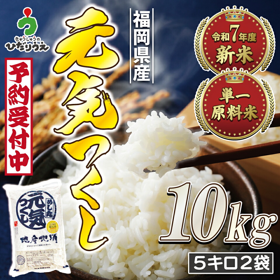 食品 お米 新米 元気つくし 県産米 5キロ 20キロ